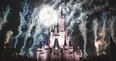 Tehdit, tutuklama, Disneyland, siyaset, bomba, sosyal medya