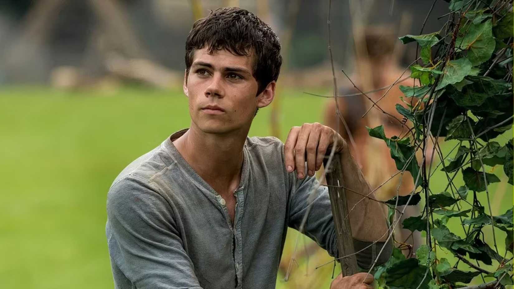 Kayboluş, umut, yeniden doğuş, karanlık ve ışık