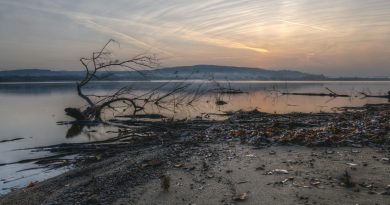 Denizle barıştı, geçmişin sırrı açığa çıktı