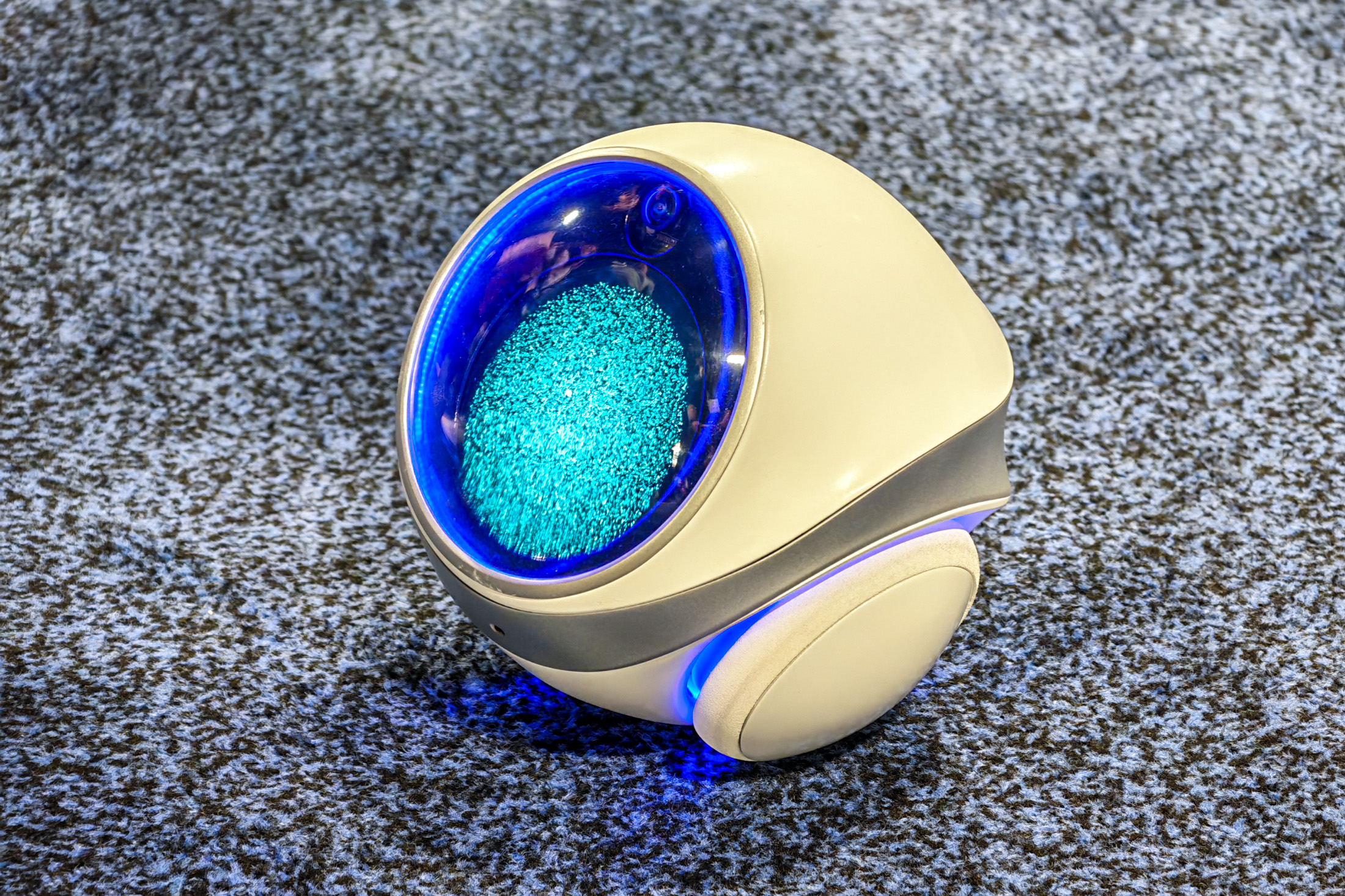 Minik robot, dost canlısı bakışlar, eğlenceli anlar yakalıyor