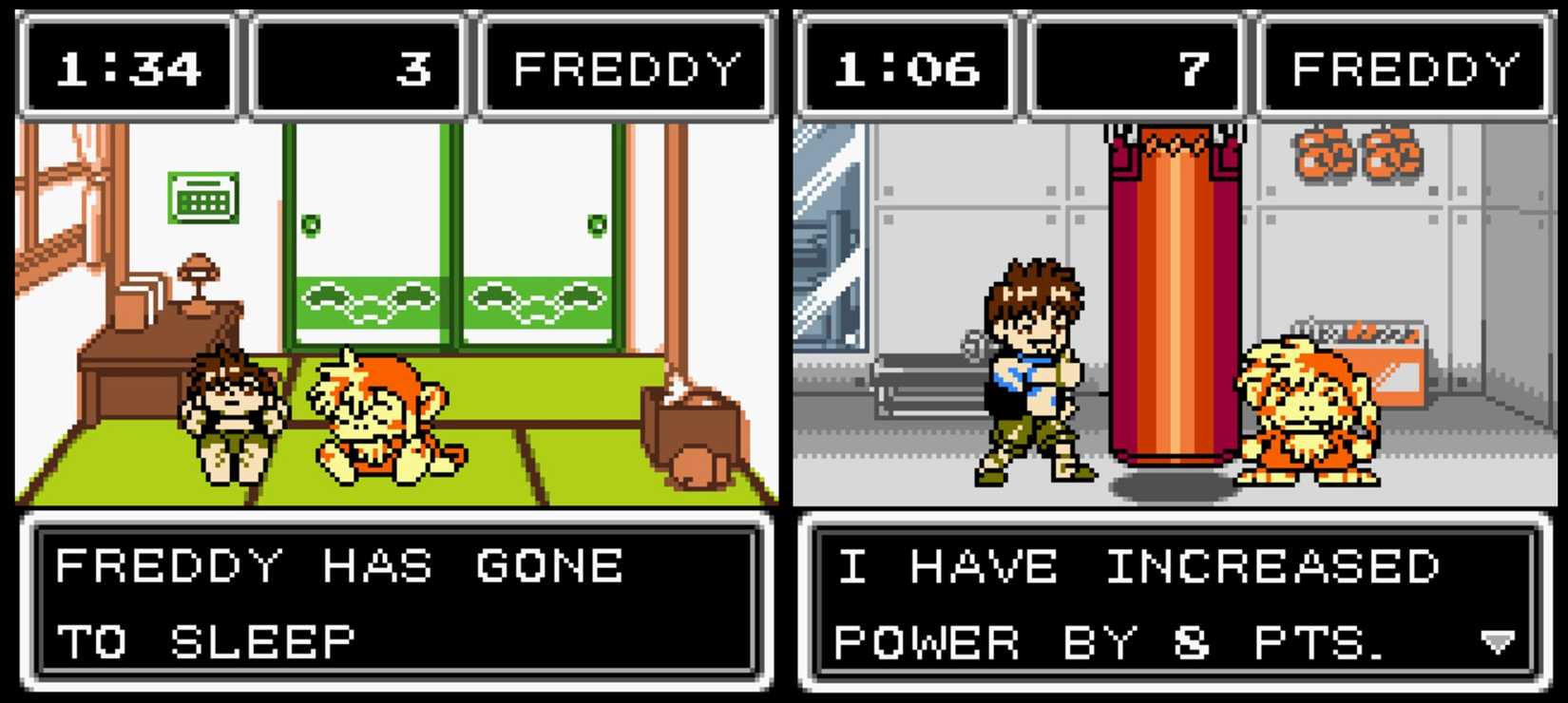 Maymunlar, dövüş, keşif, nostalji, unutulmuş hazine