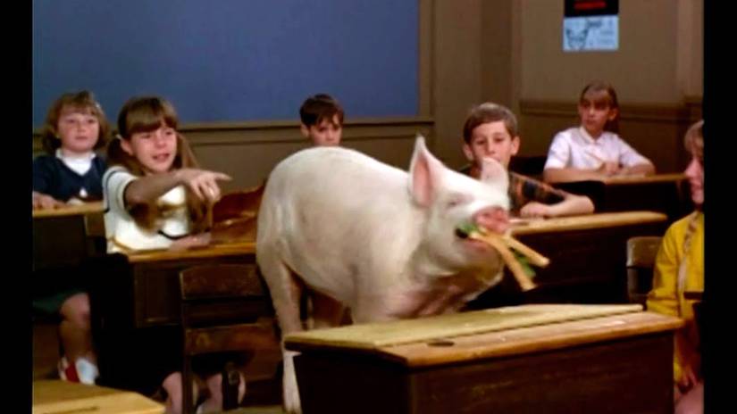 Taş Devri'nin neandertali, komik maceralarla dolu bir dünya