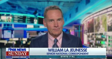 Yapay zeka, eyalet hakları, politika, düzenleme, Florida, DeSantis