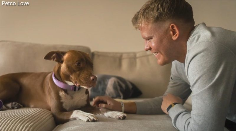 Minik dostlar yalnızlıktan kurtuluyor, sahipleri güvende