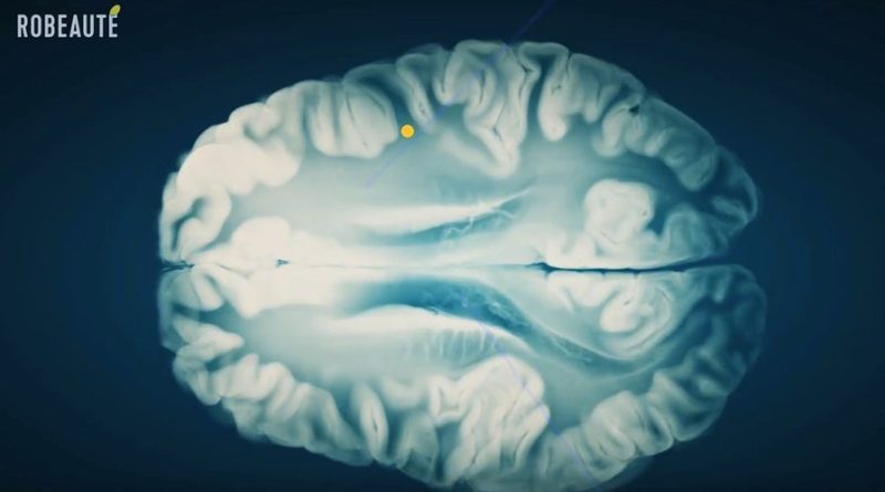 Minik robotlar yüzüyor, geleceğin mühendisliği başlıyor