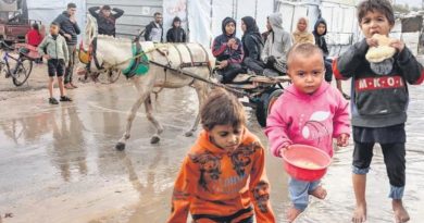 Umutsuzluk, yıkım, direniş ve hayatta kalma mücadelesi