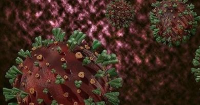 Grip mevsimi küresel ısınmayla aralıkta başlıyor