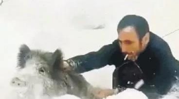 Cesaret, mizah, doğa, gündem, Türkiye, ilginç anlar