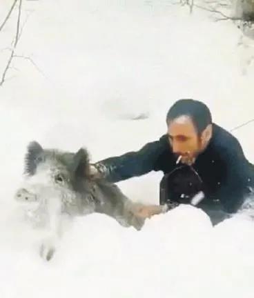 Cesaret, mizah, doğa, gündem, Türkiye, ilginç anlar