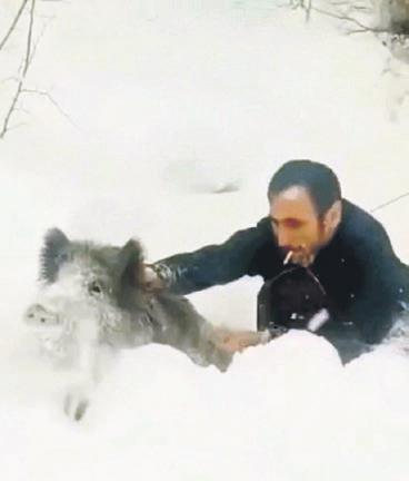 Cesaret, mizah, doğa, gündem, Türkiye, beklenmedik an