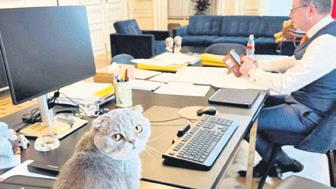 Yalnızlık, uyarı, komik, düşündürücü, Giresun