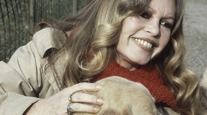 Zarafet, nostalji, bir dönemin unutulmaz yüzü