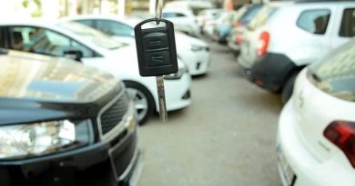 Rekor satış, otomotivde heyecan, markalar yarışıyor