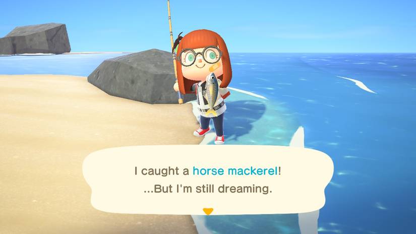 Uyku Adaları, yeni başlangıçlar, sonsuz tasarım özgürlüğü