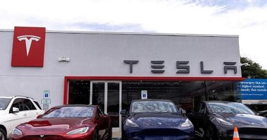 Musk'ın sözleri, Tesla'nın Avrupa'daki başarısını gölgeledi