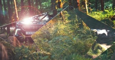 Doğanın renklerinden ilham, Togg'a yepyeni bir soluk