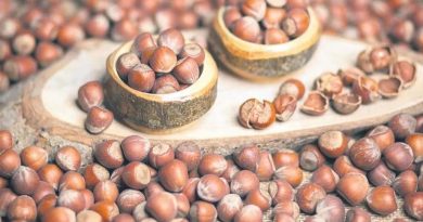 Uygur destanlarından sofralara, fındık lezzeti bin yıllık