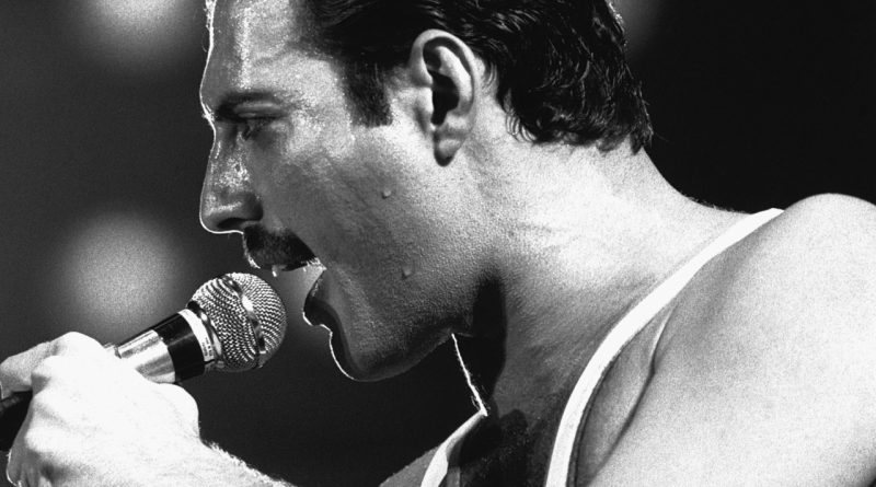 Aşk, vasiyet, kitap, acı, Freddie Mercury, Bibi, anılar, vedalaşma