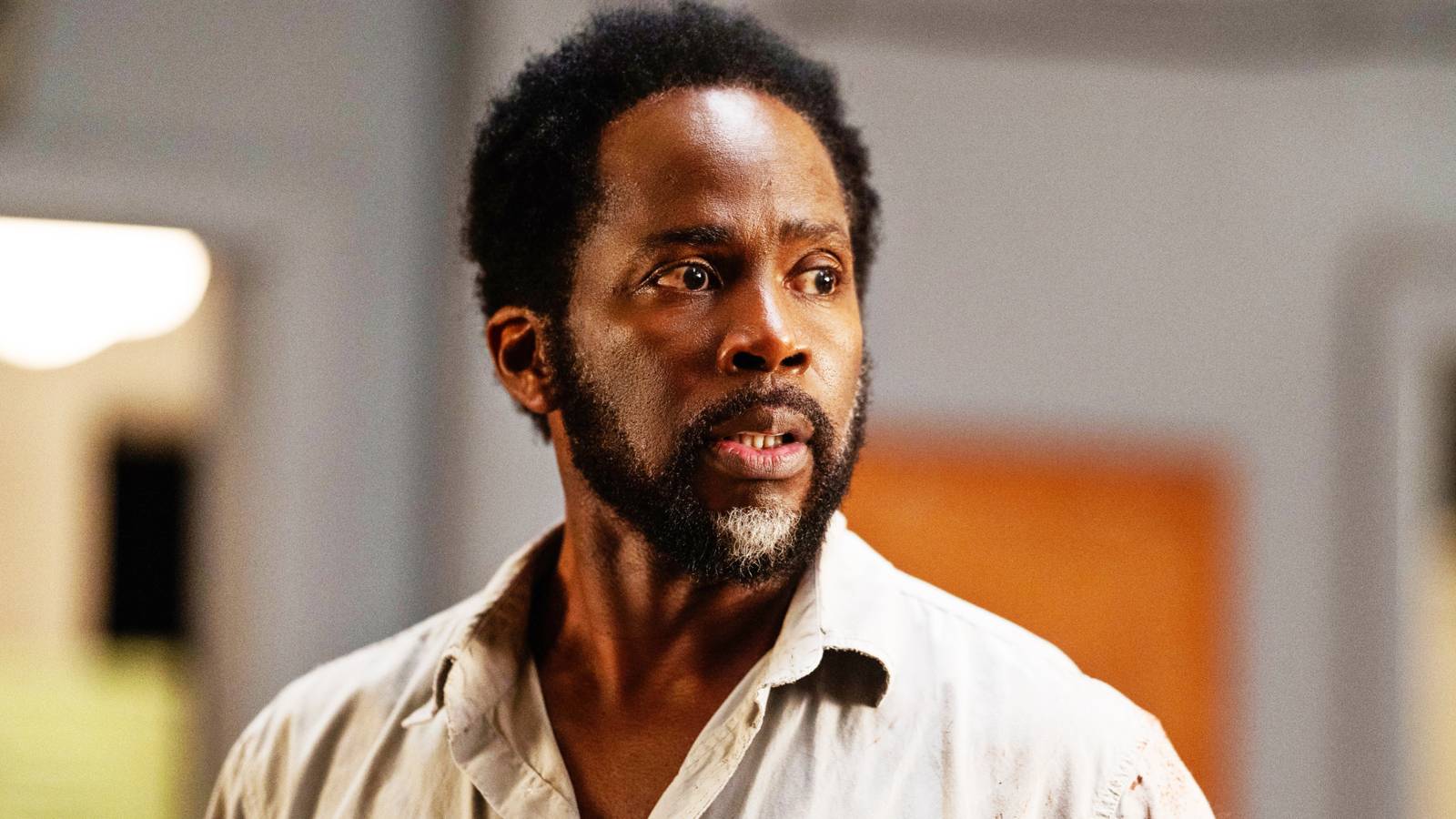 Korku severlere müjde: 