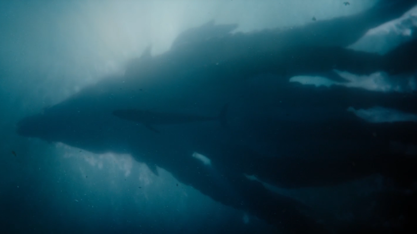 Devasa gölgeler, efsane geri dönüyor, Titan X yükseliyor