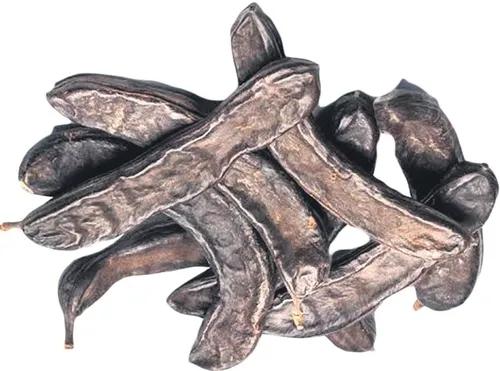 Doğadan gelen tatlılık, geçmişten günümüze şifa