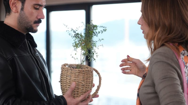 Sürpriz itiraf, karmaşık ilişkiler, beklenmedik son