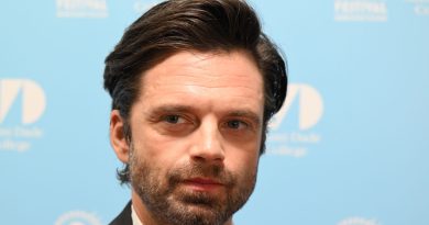 Karanlık dönüşüm, hayran sanatı, Sebastian Stan, İki Yüzlü
