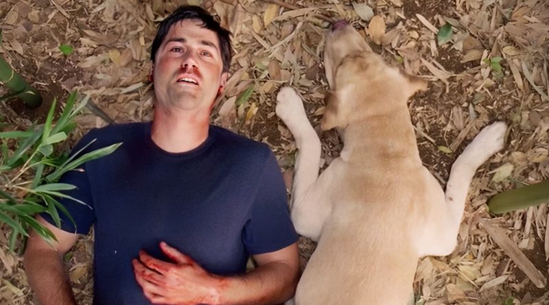 Gizem, gerilim, hayatta kalma: Efsanevi bir yapım