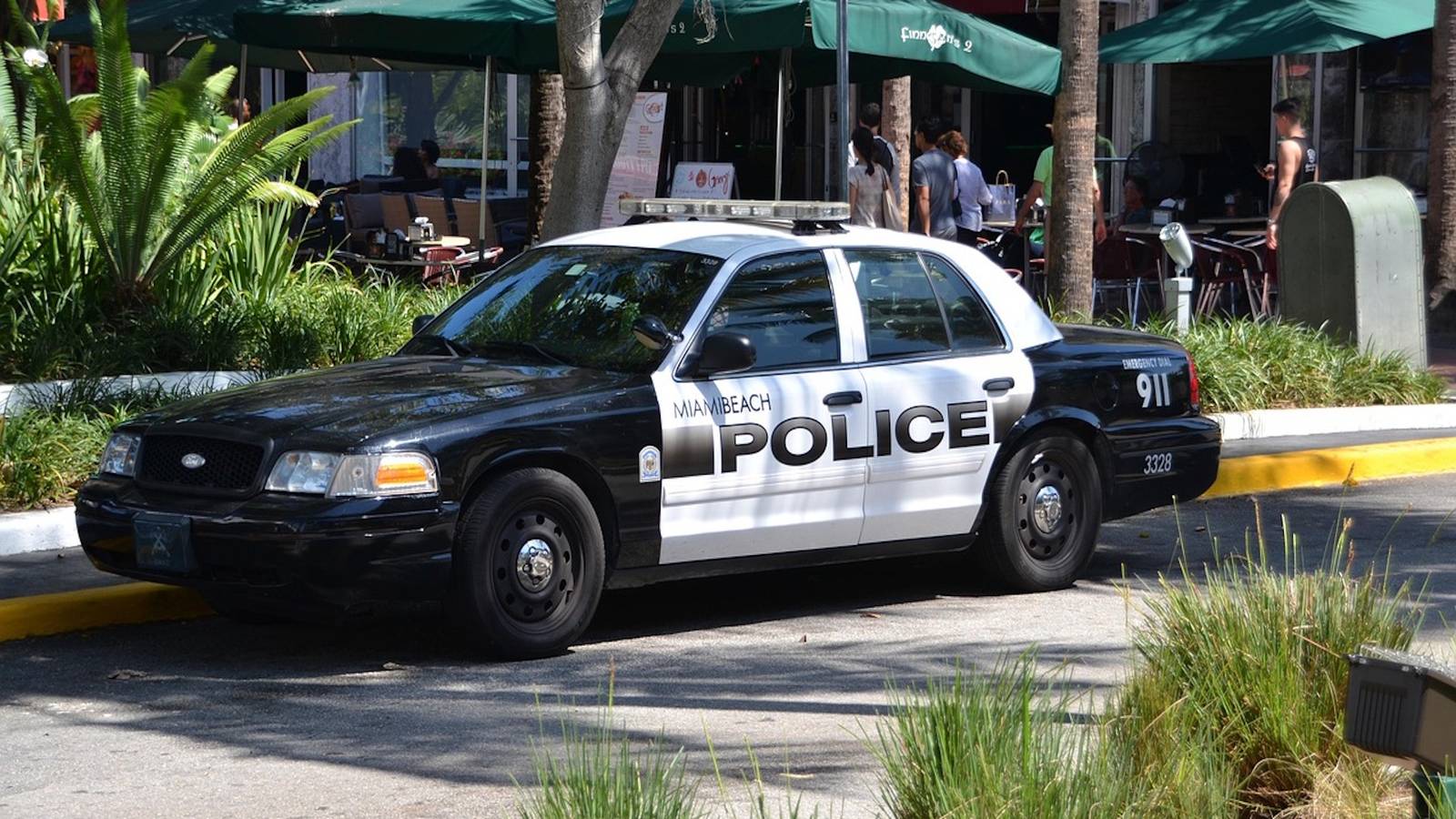 Kuyruk, öfke, silah, trajedi, beklenmedik son