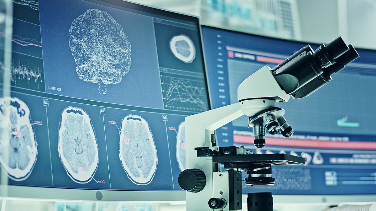 Minik robotlar yüzüyor, bilim kurgu gerçek oluyor!