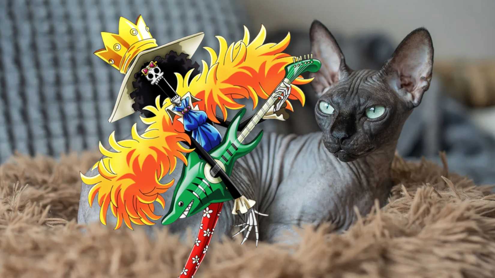 Cesur, sadık, eğlenceli dostlar: Kedi ırkları ile One Piece karakterleri!