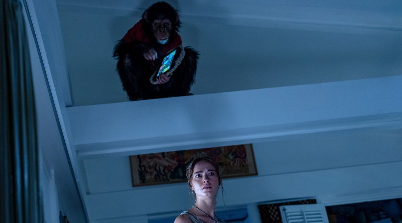 Ormanda hayatta kalma mücadelesi, gerilim dorukta, ölüm kol geziyor