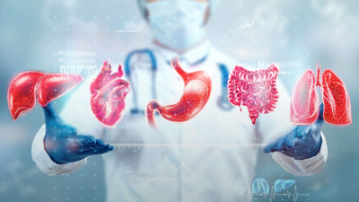 Yaşam tarzı, genlerden daha önemli: Uzun ömürlülük sırrı sende