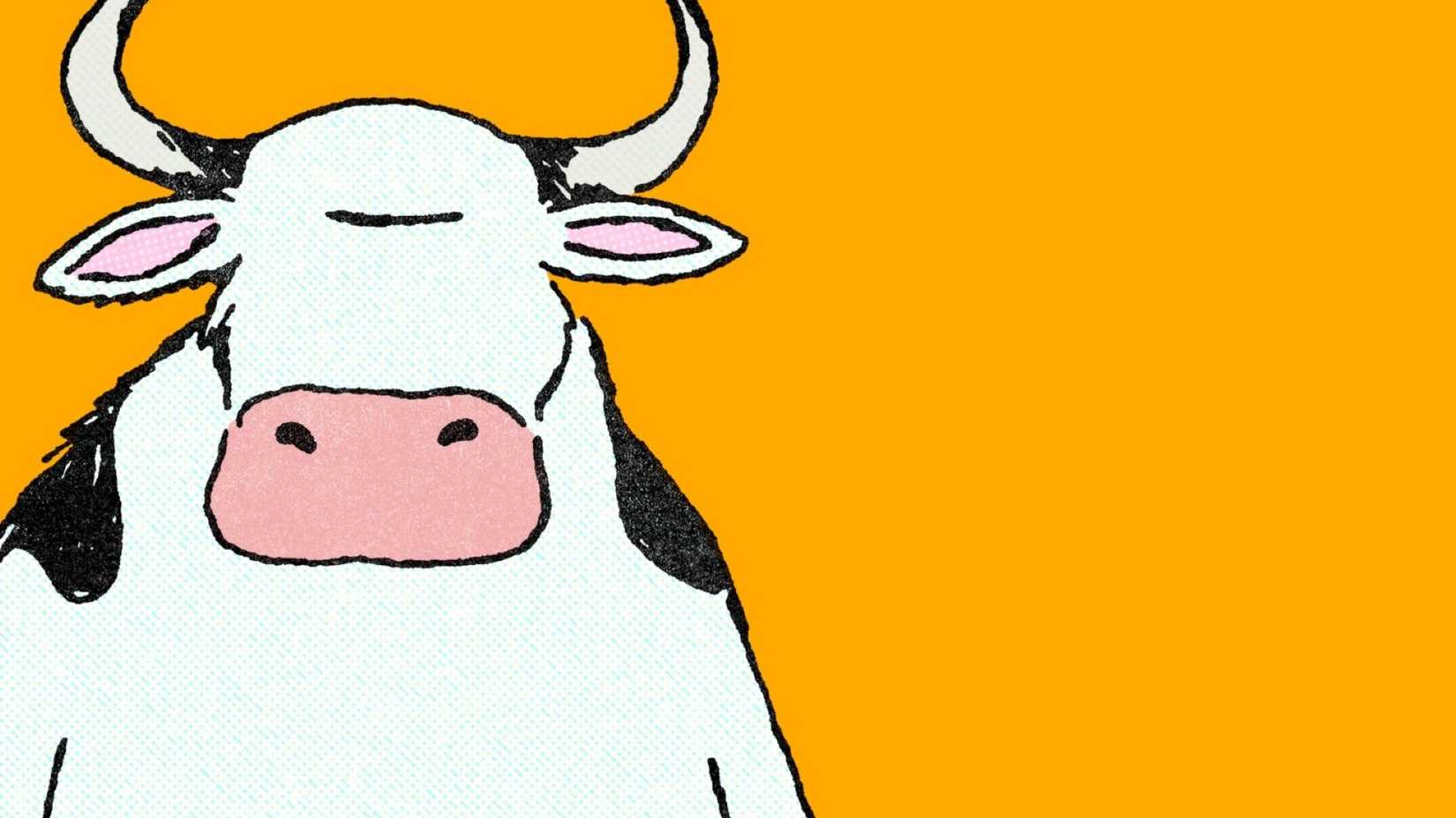 Gizemli detay, nostalji, kahkaha, beklenmedik bağlantı, nostaljik anılar