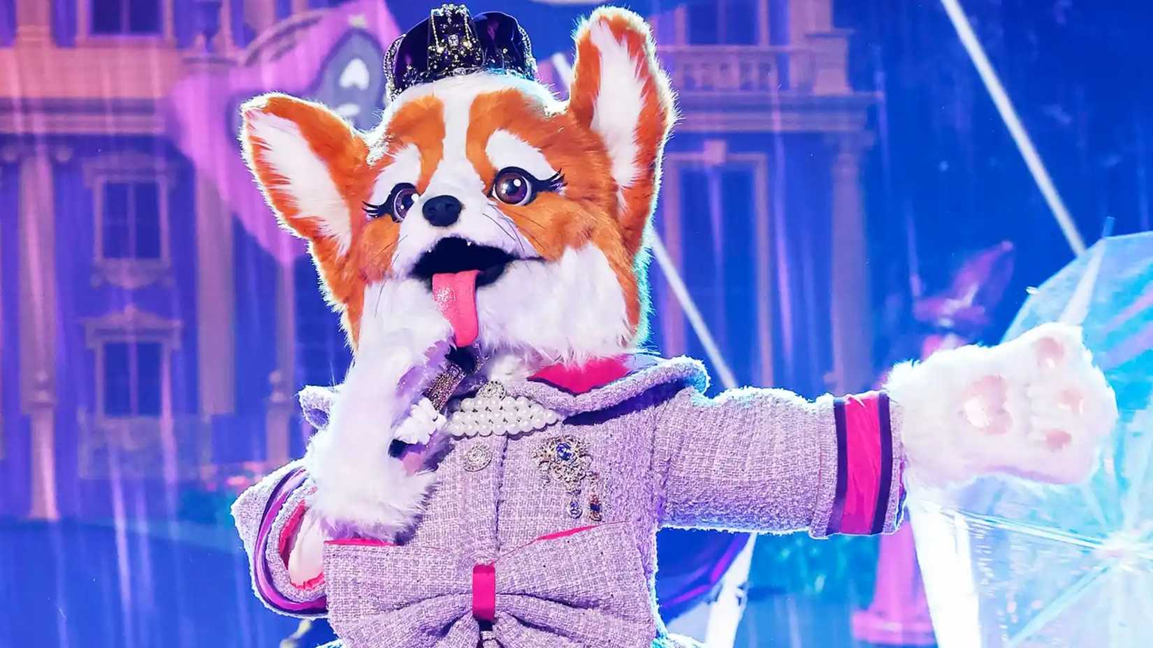 Queen Corgi'nin ayrılığı, şaşkınlık ve destek mesajlarıyla yankılandı