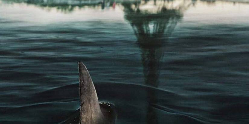 Derin sular, Paris'te ölüm, nefes kesen gerilim