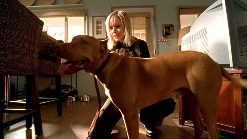 Taş devri komedisi, neşeli Dino ile unutulmaz anlar yaşattı