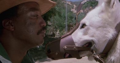 Köpek, ırkçılık, sessizlik ve unutulmuş bir film