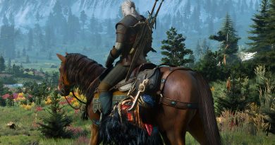 Gizli portre, Witcher evreninde geliştirici ekibine saygı duruşu