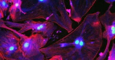 Hücreler yaşlanır, bazen de hayata tutunur