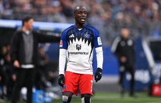 Ceza, pişmanlık, futbolcu, disiplin, Almanya, Hamburger SV