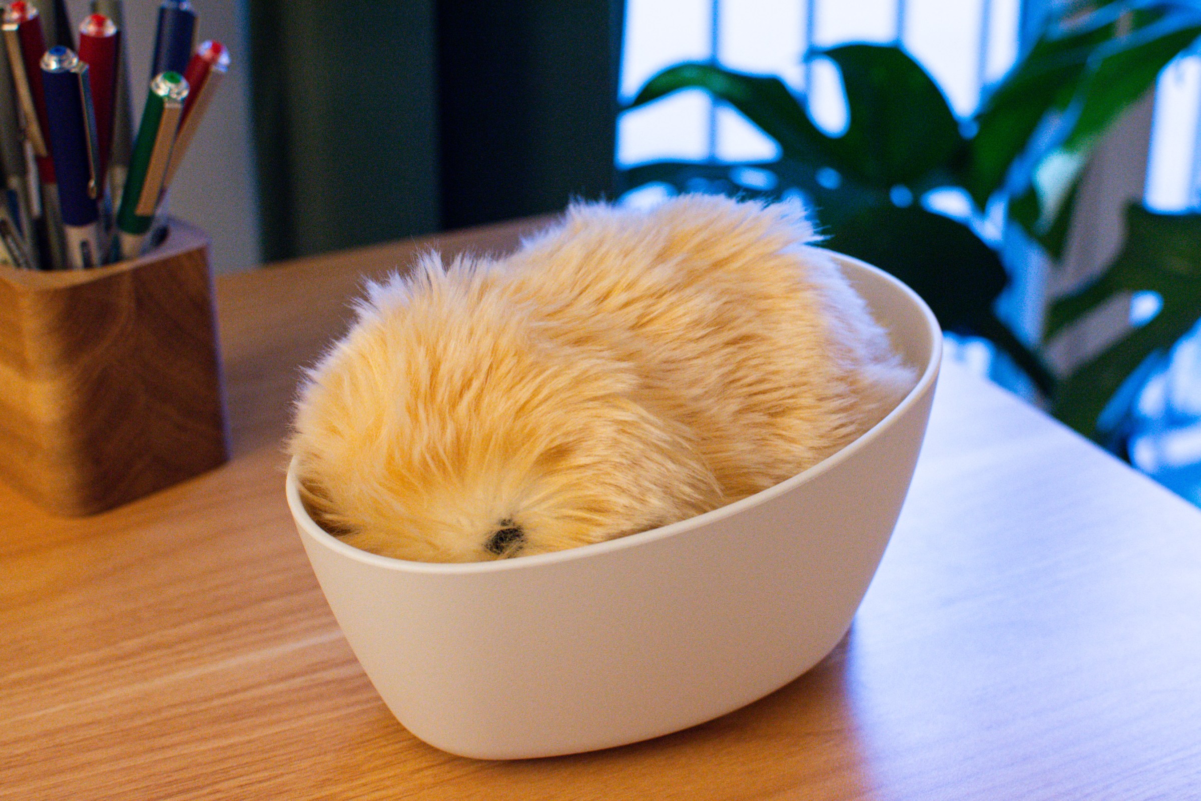 Robot köpek, beklentileri yıktı, Furby travması geri döndü