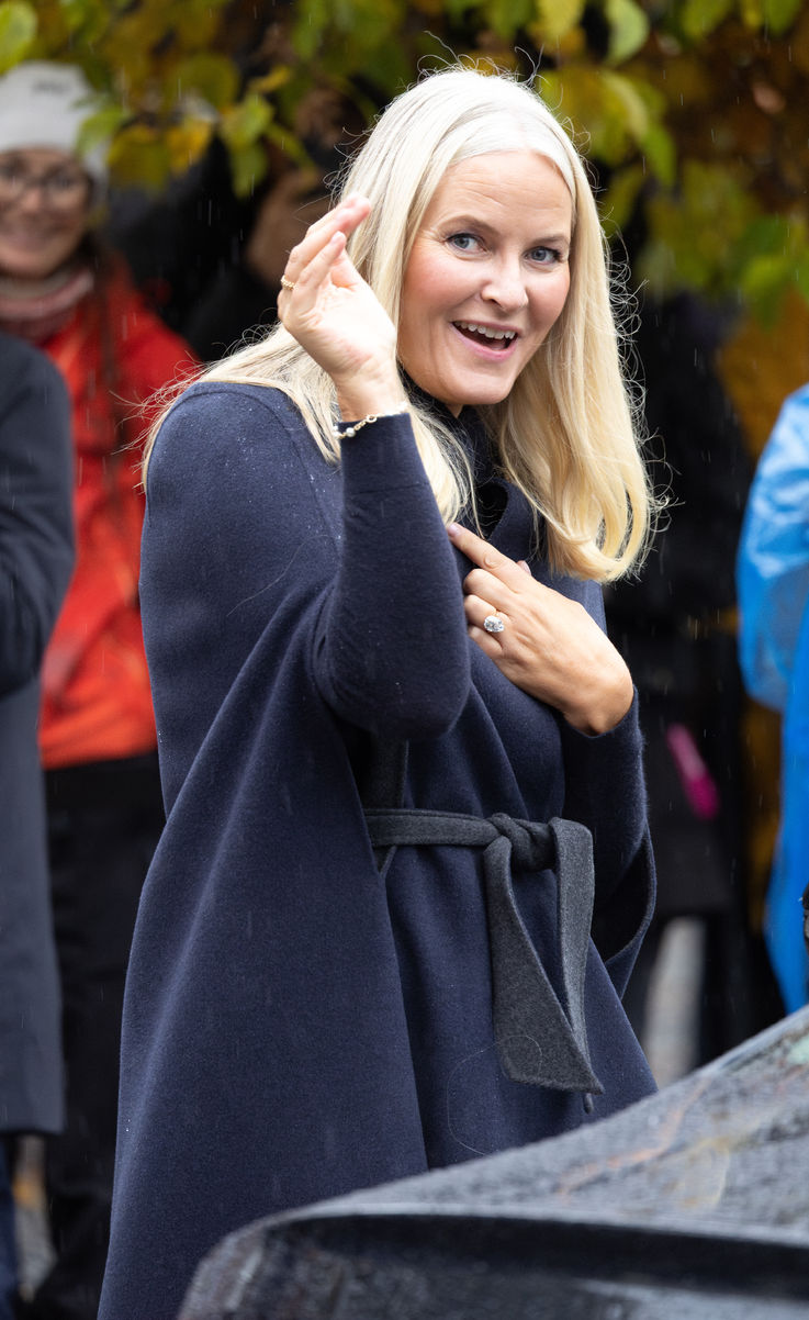 Gizli ilişkiler, şok, itibar sarsıntısı, monarşi krizi