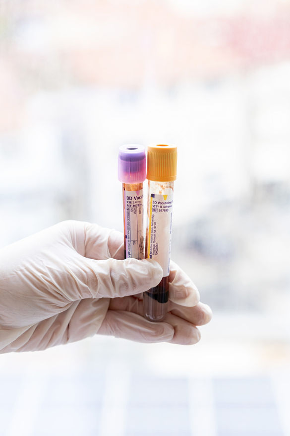 Umut filizleniyor, bilim aydınlatıyor, hayat yeniden başlıyor