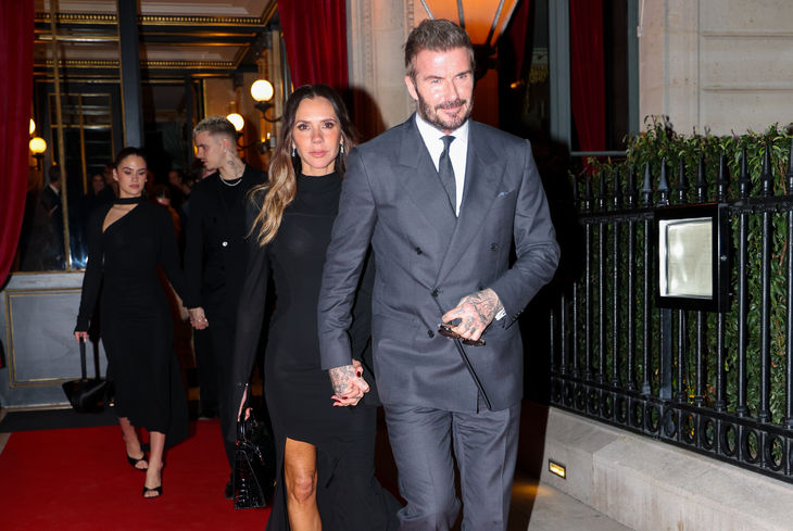 Köpekler, telaş, kucak, kapı, zor anlar, Los Angeles