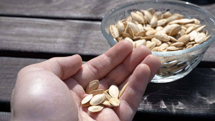 Hafif başlayın, yavaşlayın, çiğneyin, sindirin, rahatlayın