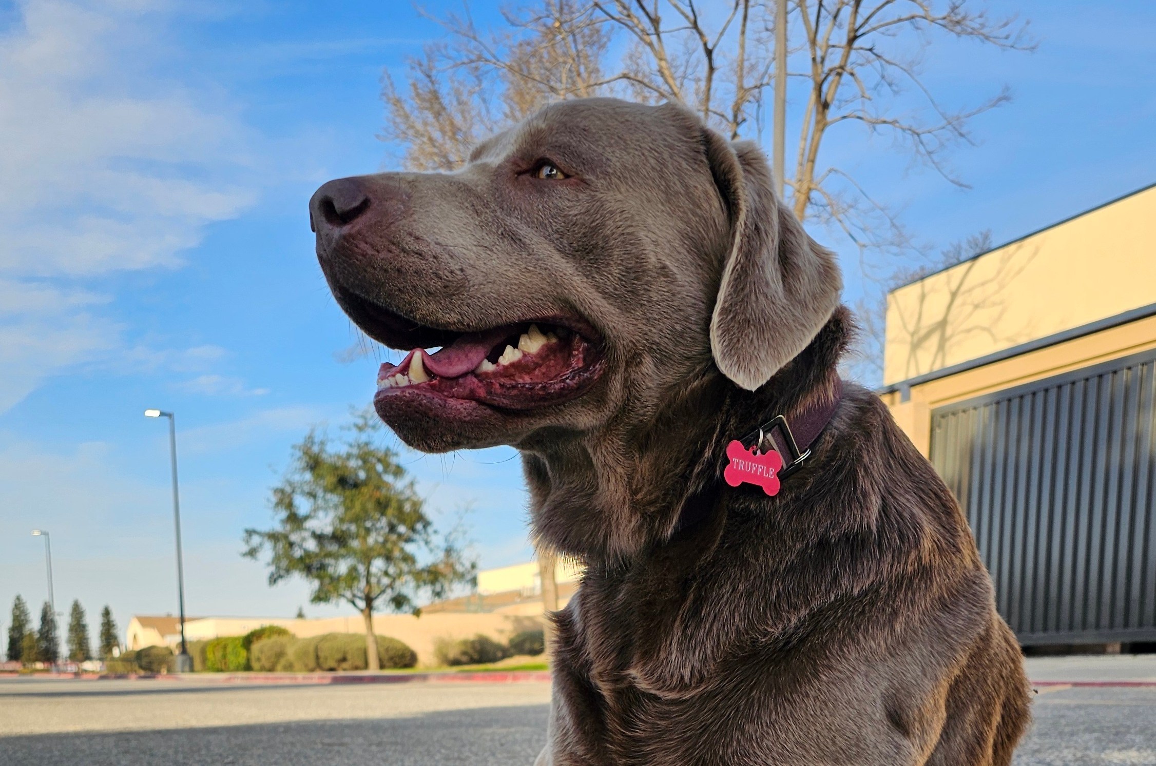 Umut ışığı: Kayıp dostlar, şimdi daha kolay bulunabilir