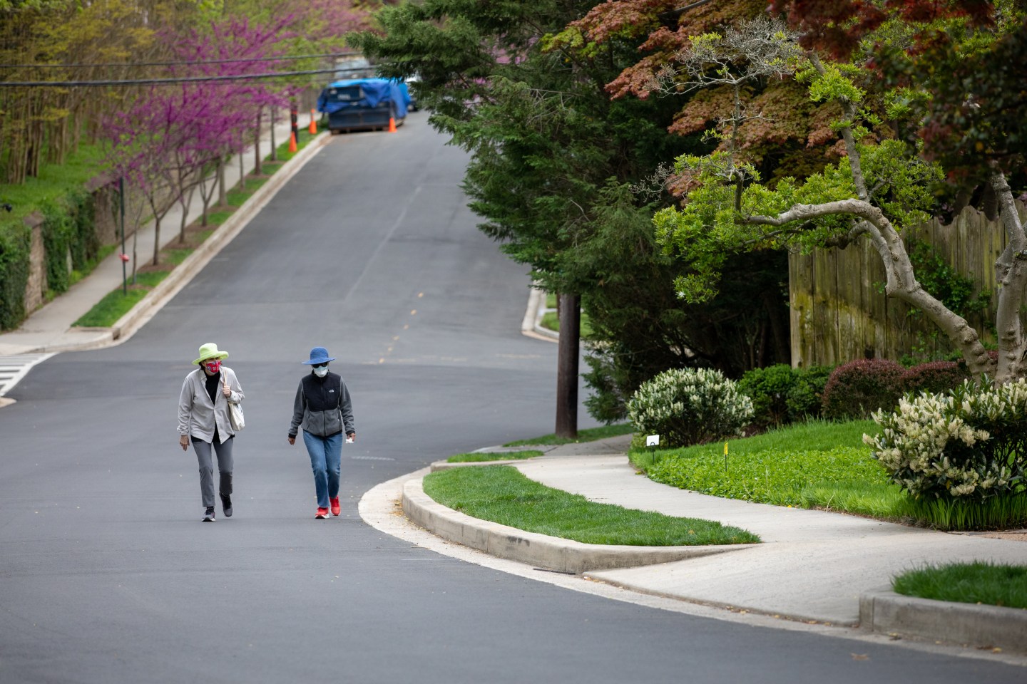 Lüks yaşam, yeni adres, Miami rüzgarı, teknoloji devi