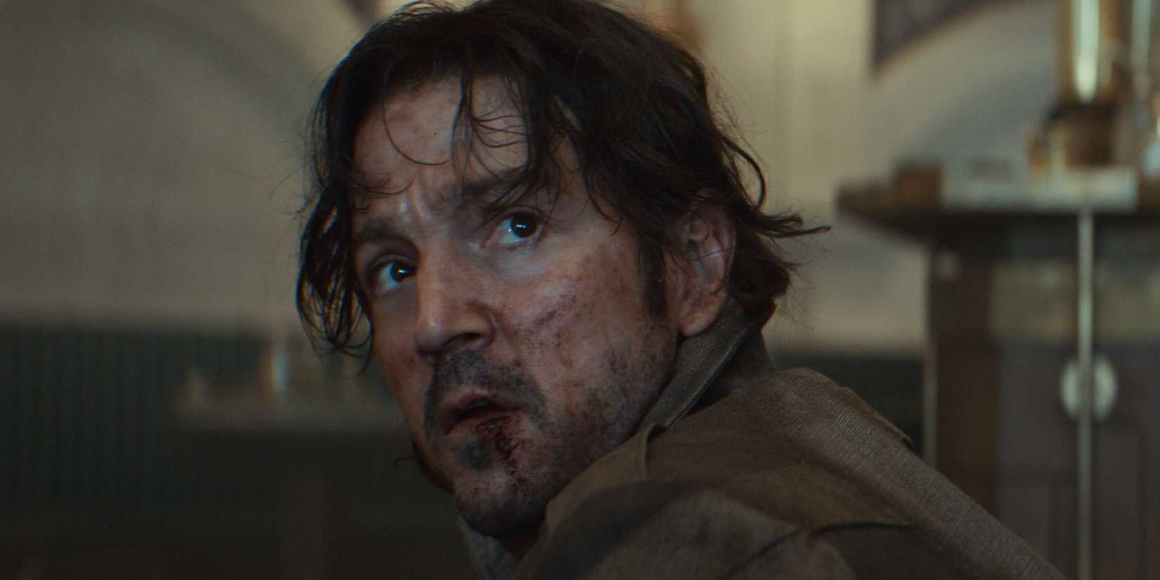 Direnişin tohumları filizleniyor, umut karanlığa meydan okuyor