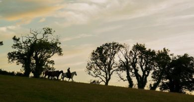 Gösterişli kostümler, epik savaşlar, büyülü atmosfer